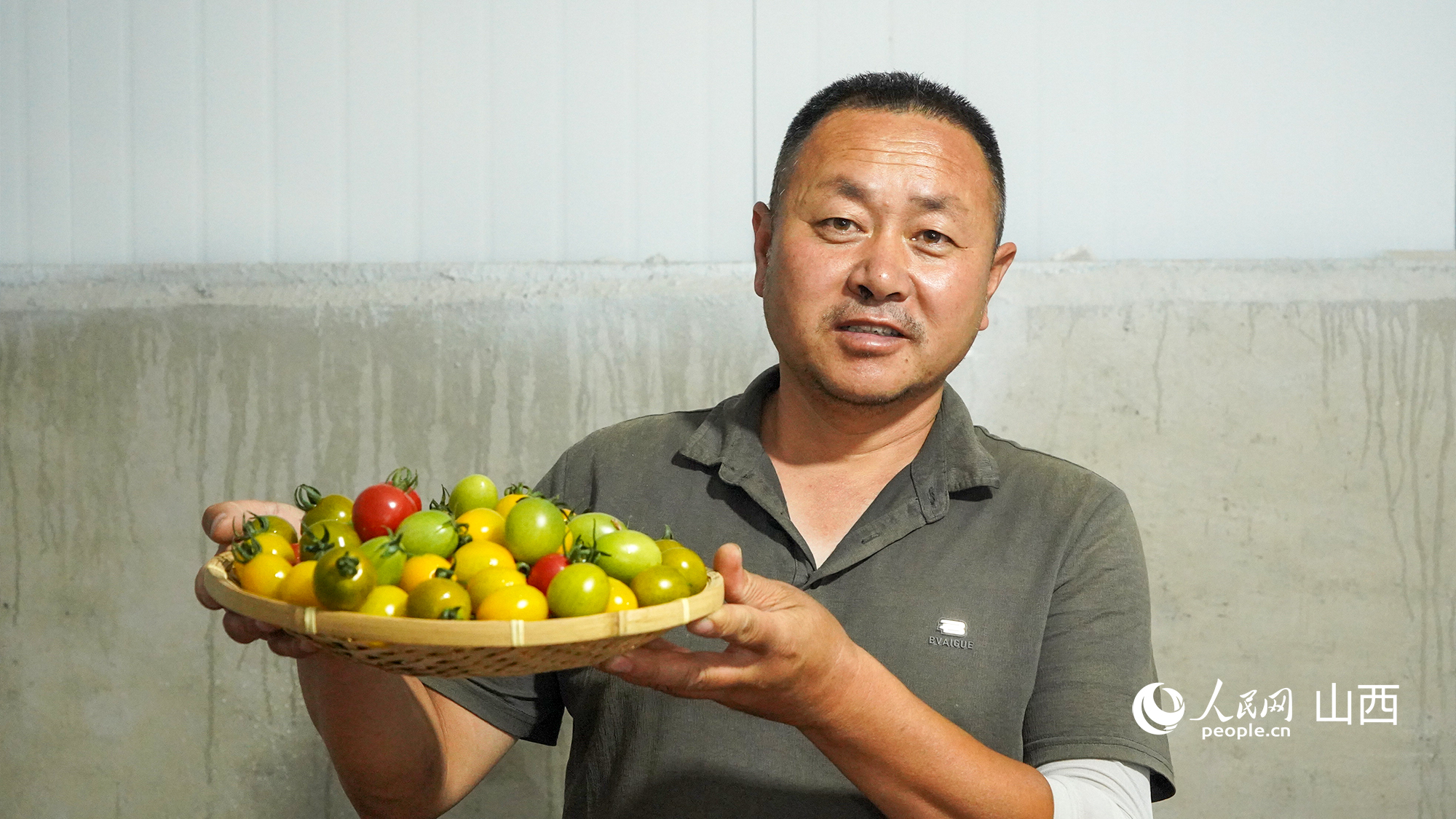 山西省大同市阳高县翔跃种植专业合作社负责人尹泽展示自己种出的西红柿。人民网记者 焦搏文摄