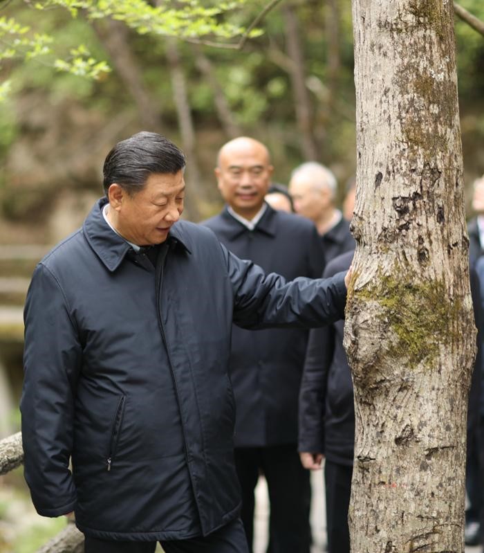 2020年4月20日,中共中央总书记、国家主席、中央军委主席习近平在陕西考察调研。这是习近平在位于商洛市柞水县的秦岭牛背梁国家级自然保护区,考察秦岭生态保护情况。 新华社记者 鞠鹏 摄