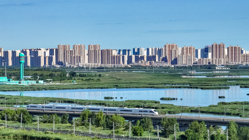 2025年8月17日,一列动车组列车驶过大庆东站。 2025年8月17日,一列动车组列车驶过大庆东站。