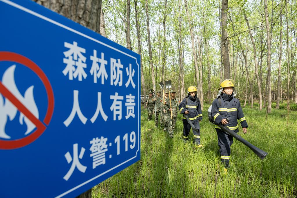 2024年4月9日,合肥市大房郢水库水源保护地庐阳经济开发区段,基干民兵正在林间巡查火灾隐患。 2024年4月9日,合肥市大房郢水库水源保护地庐阳经济开发区段,基干民兵正在林间巡查火灾隐患。